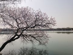 -颐和园