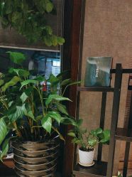 -香秀空间科技抗衰·美容中心