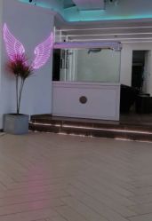 -BULB STUDIO 巴柏明星发型工作室