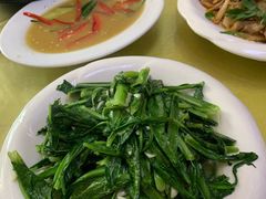 -煲来饱去冷水鱼
