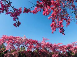 -丝情发艺 I SALON