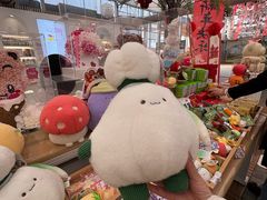 -荷兰花海