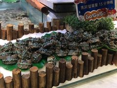 -川骄海鲜自助(河东店)
