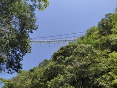 -石台牯牛降景区