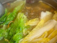 -百利鸽王(紫薇路店)
