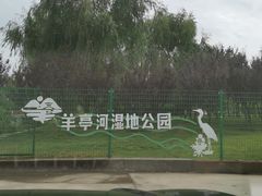 -羊亭河湿地公园