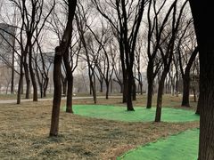 -玲珑塔公园