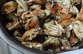 Salted Pepper Spider Crab