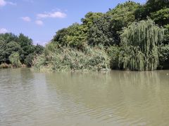 -白塔湖国家湿地公园