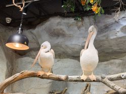 -Zoolung Zoolung动物主题公园(海信广场店)