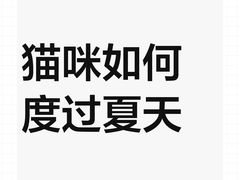 -仁普宠物诊所(住友昌盛新苑店)