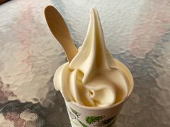 鲜奶冰淇凌-古老冰山特色冰淇淋店(艾提尕尔店)
