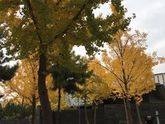 -三姐妹餐厅(曲江店)