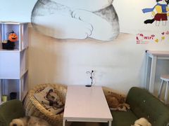 -Cappucimeow猫咪咖啡馆(韦伯时代店)