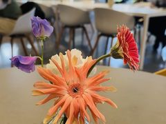 -dotcom coffee古点咖啡(致真大厦店)