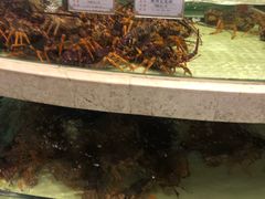 -白金汉爵大酒店(相城店)