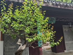 -苏州上方山国家森林公园