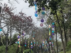 -云溪植物园