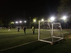 球场-太阳宫足球俱乐部