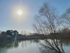 -苏州太湖国家湿地公园