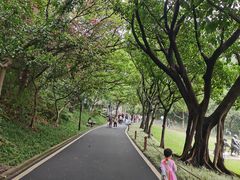 -广州雕塑公园