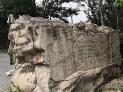 -北京鹫峰国家森林公园