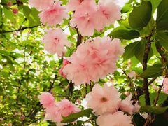 -苏州河梦清园环保主题公园