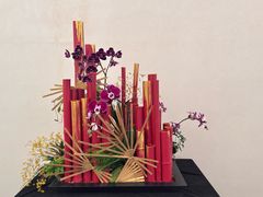 -云溪植物园