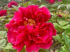 -江南大学(蠡湖校区)