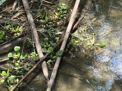 -大观园昆山峡漂流