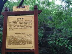 -老象峰