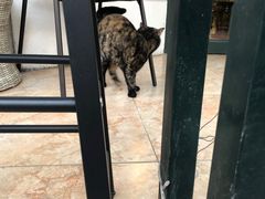 -天地無用GAME BAR