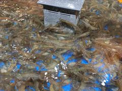 -紫荆广场·花漫里