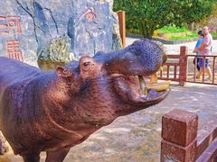 -贵州森林野生动物园