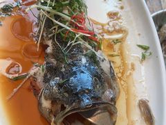 -YAFEE雅菲·粤菜·湘菜·融合菜(魏公村店)