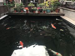 -华庭苑农家乐(旺山店)