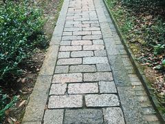 -上海佘山国家森林公园天马山园