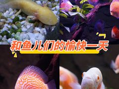 -台州海洋世界