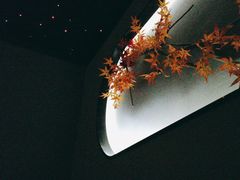 -臻江南影院式足道(雅安店)