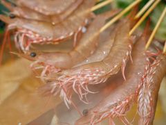 -叙亨轩海鲜火锅