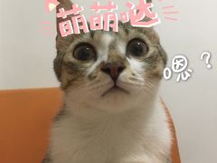 -永和大王(宜山店)