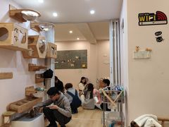 -猫咪派对(江南西店)