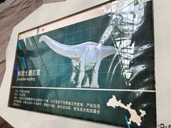 -安徽省地质博物馆