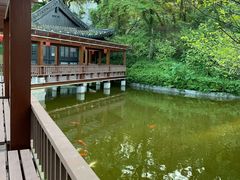 -南京国际会议大酒店