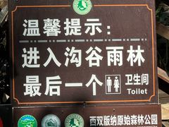 -西双版纳原始森林公园
