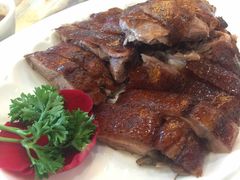 椿记烧鹅-椿记烧鹅(叠彩店)