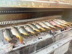 -杨合林啊兰烤鱼