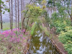 -上海长兴岛郊野公园