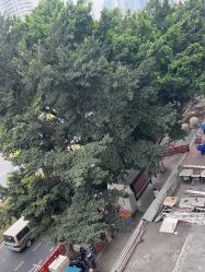 -深圳春天阳光医院·轮廓抗衰中心