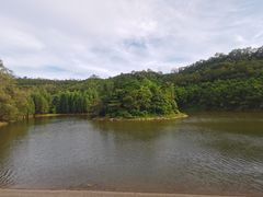 -滴水岩森林公园